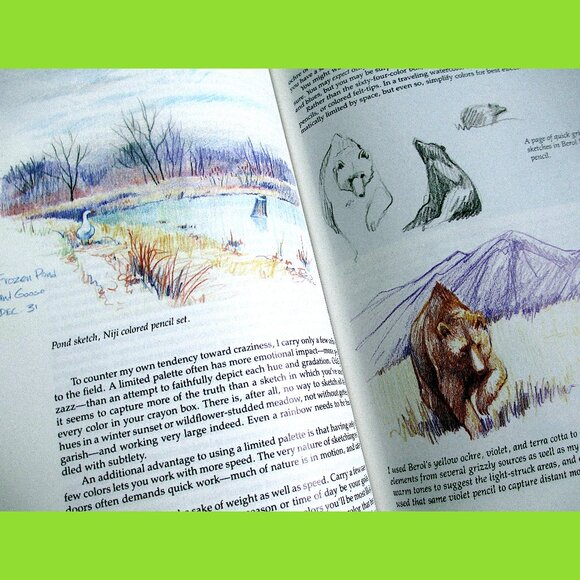 Book: The Sierra Club Guide to Sketching in Nature, by Cathy Johnson - Picture 7 of 16